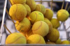 Mini IMG 3187